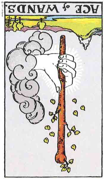 Carta de Tarot de Rider - Waite As de Bastos invertida en marifranstarot.com